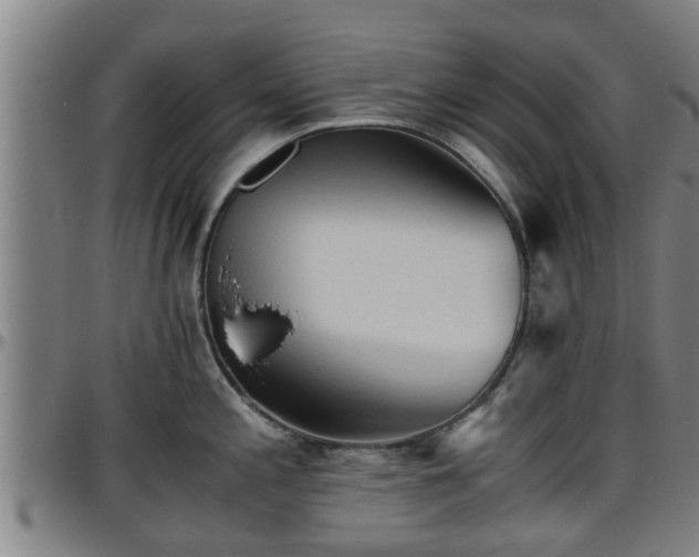 X0000096401197200801311344