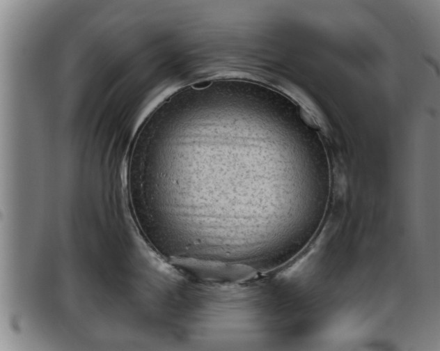 X0000096401198200801311344