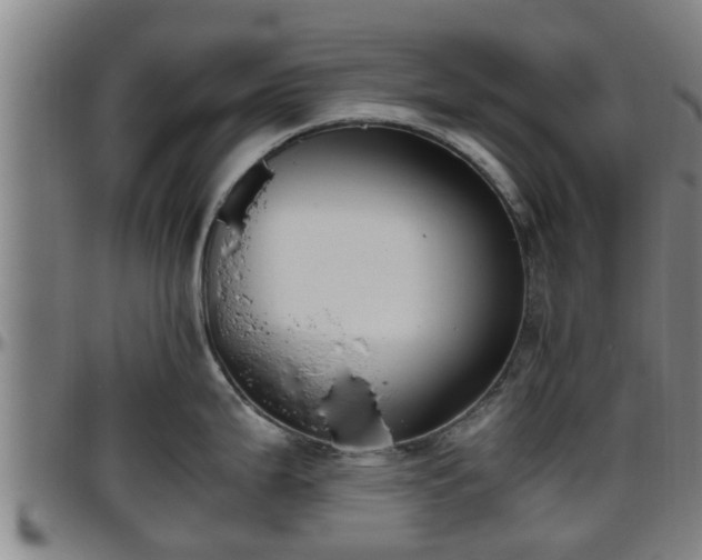 X0000096401199200801311344