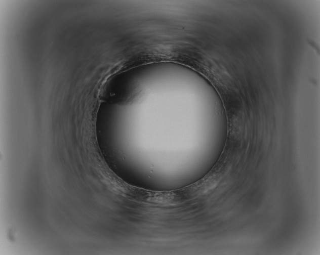 X0000096401201200801311343