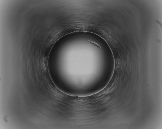 X0000096401202200801311343