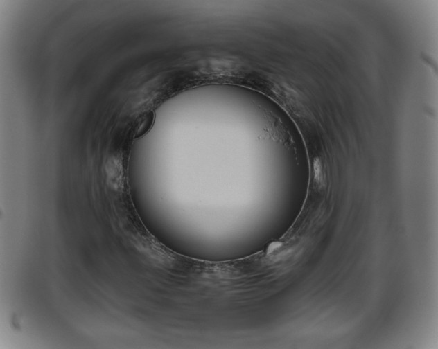 X0000096401203200801311343