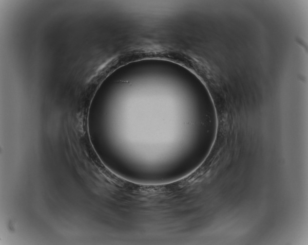 X0000096401205200801311343