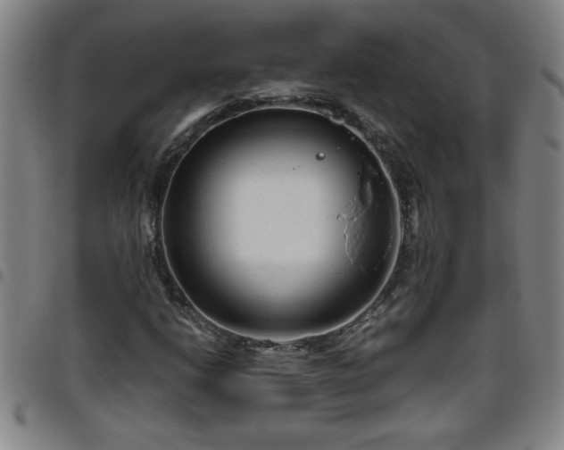 X0000096401206200801311343