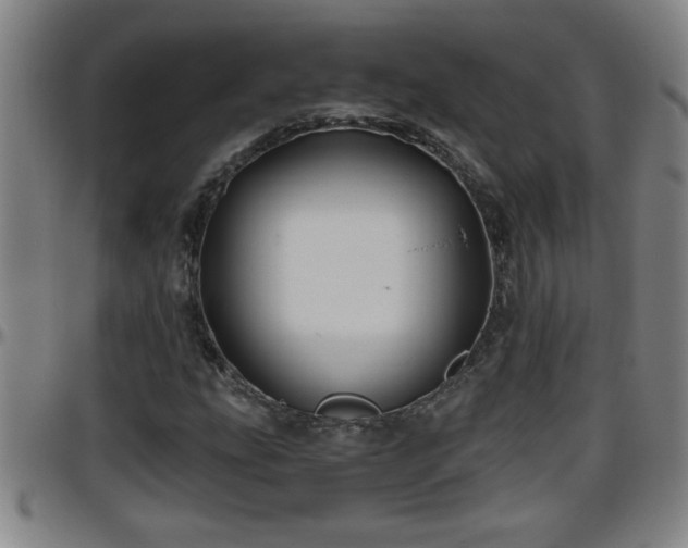 X0000096401207200801311343