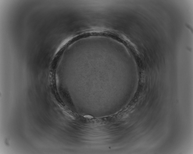 X0000096401208200801311343