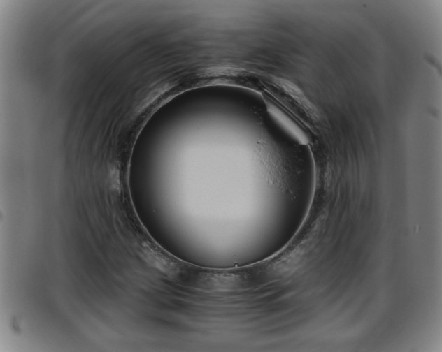 X0000096401209200801311343