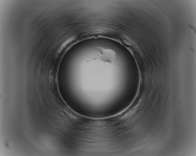 X0000096401210200801311343