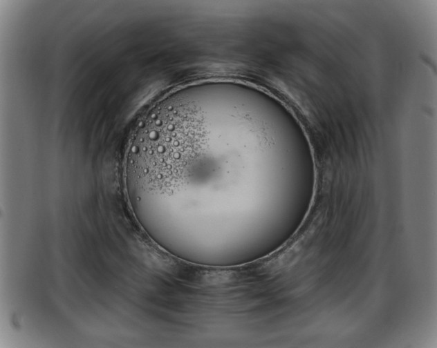 X0000096401211200801311343