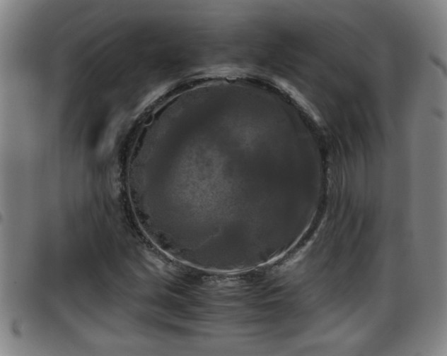 X0000096401213200801311343