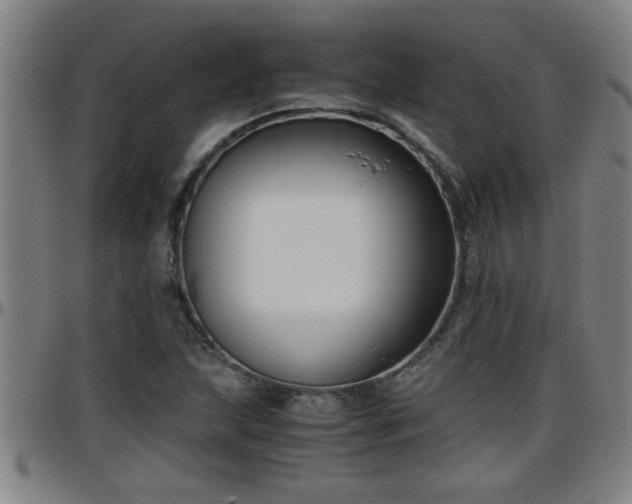 X0000096401215200801311343