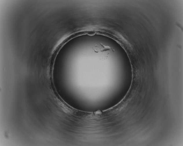 X0000096401216200801311343