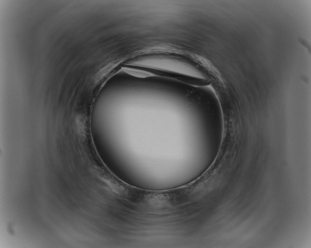 X0000096401217200801311343