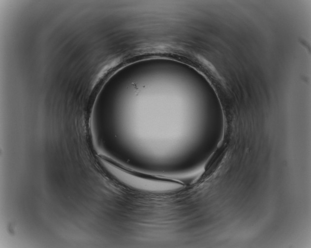 X0000096401218200801311343