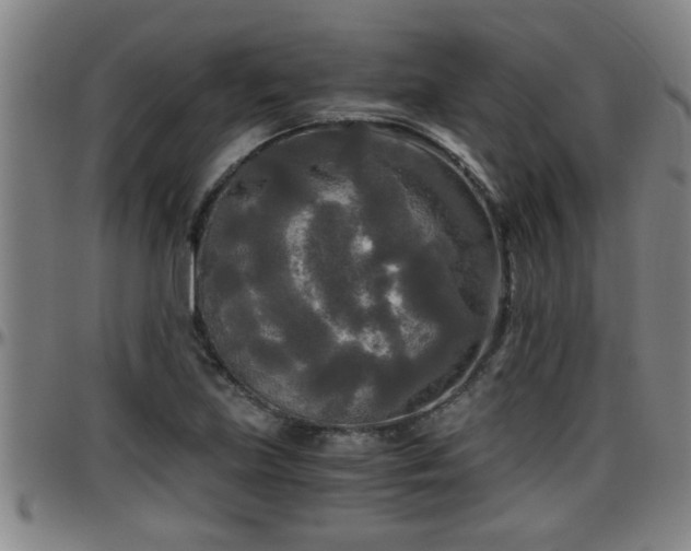 X0000096401219200801311343