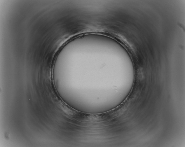 X0000096401220200801311343