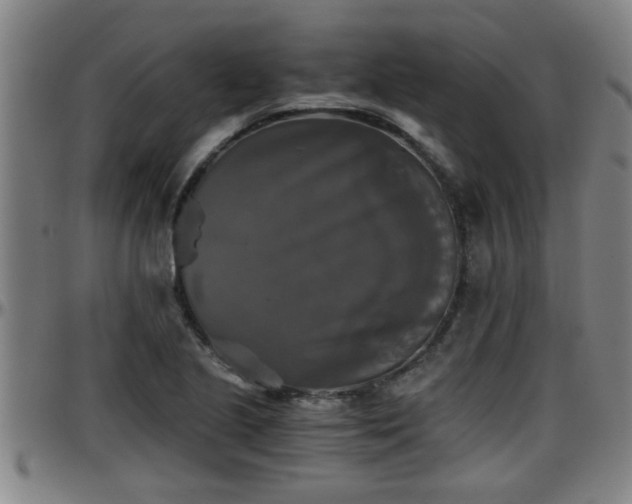 X0000096401221200801311343