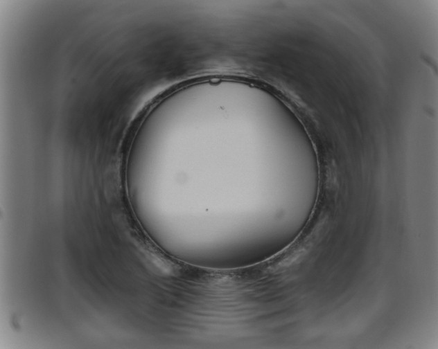 X0000096401222200801311343