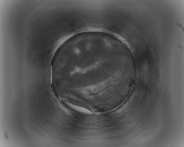 X0000096401223200801311343