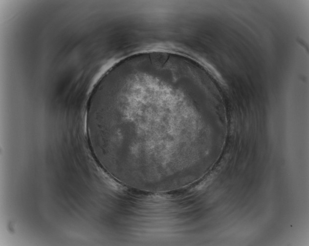 X0000096401224200801311343