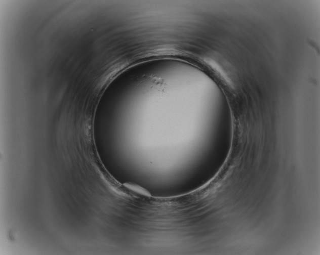 X0000096401225200801311343