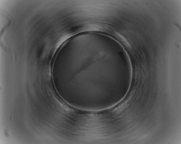 X0000096401226200801311343