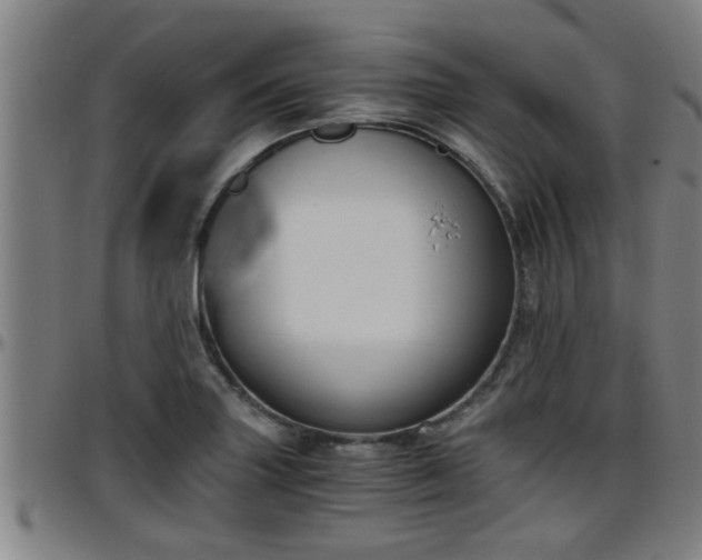 X0000096401227200801311343