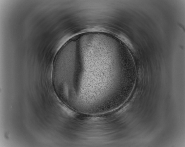 X0000096401228200801311343