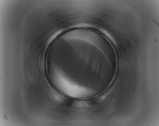 X0000096401229200801311343