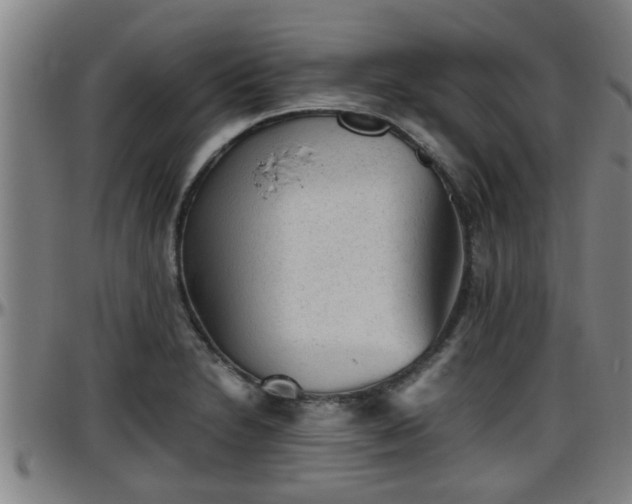 X0000096401230200801311343