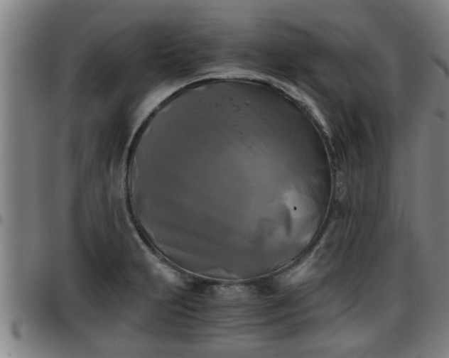 X0000096401231200801311343