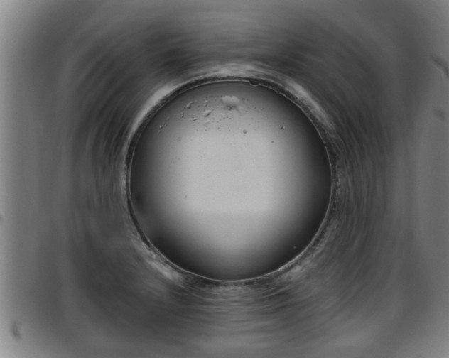 X0000096401232200801311343