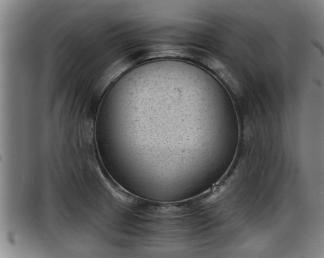 X0000096401233200801311343