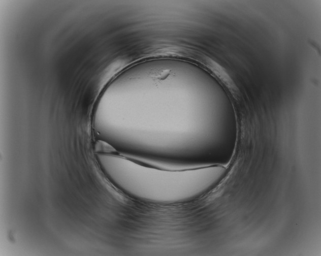 X0000096401234200801311343