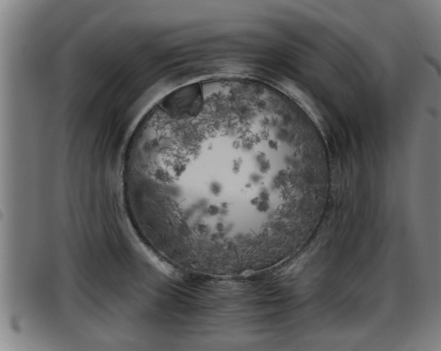 X0000096401235200801311343