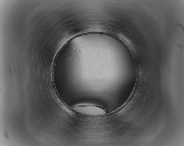 X0000096401236200801311343