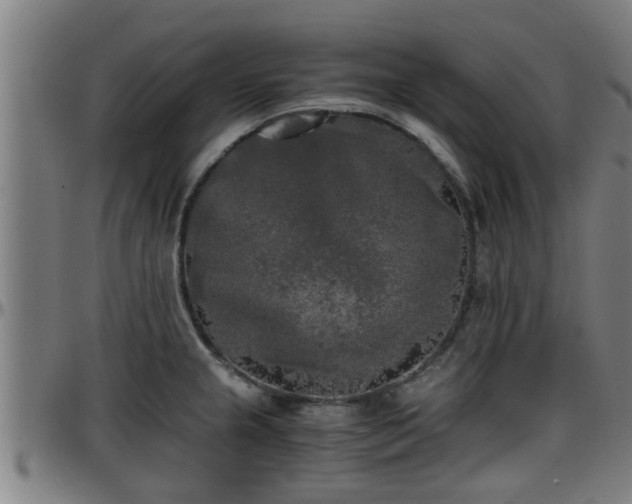 X0000096401237200801311343