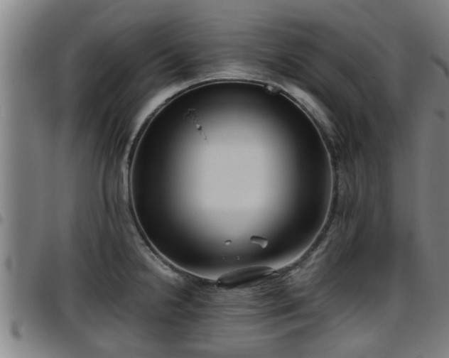 X0000096401238200801311343