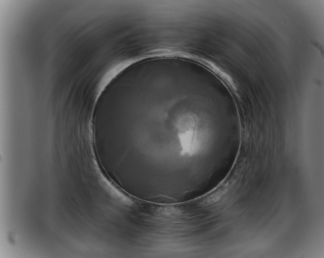 X0000096401239200801311343