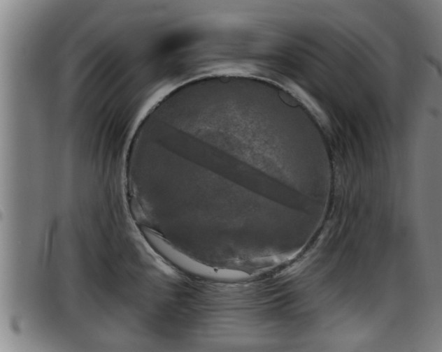 X0000096401240200801311343