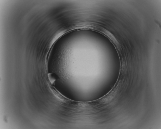 X0000096401242200801311343