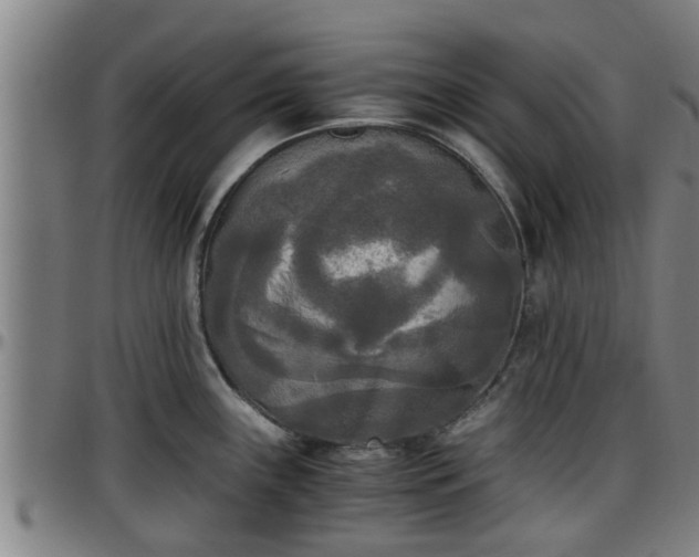 X0000096401243200801311344