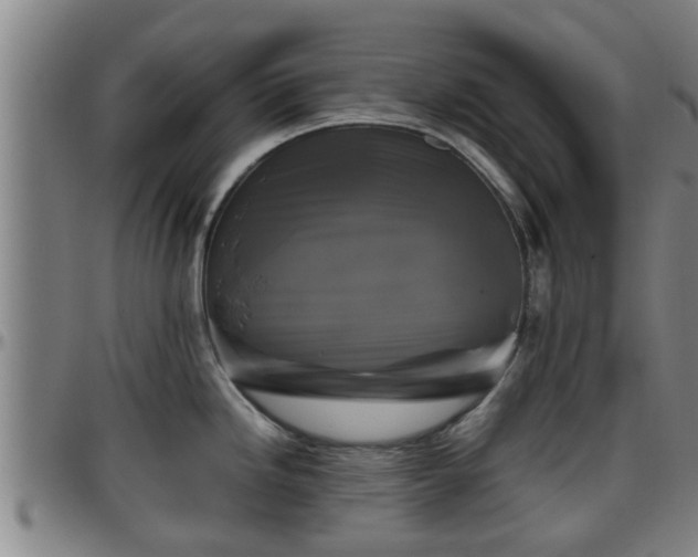 X0000096401246200801311344