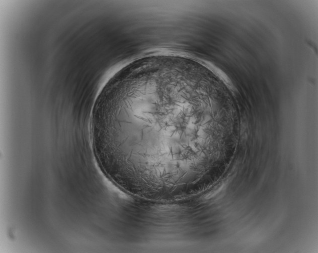 X0000096401247200801311344