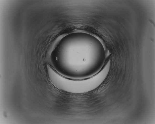 X0000096401249200801311343