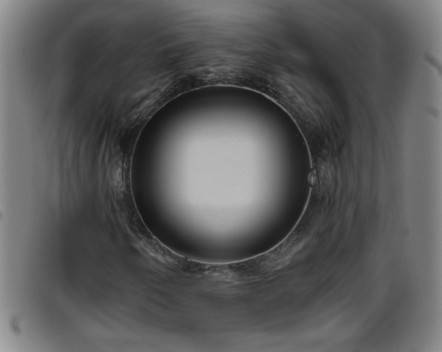 X0000096401250200801311343