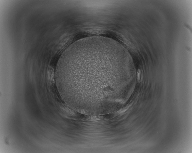 X0000096401251200801311343