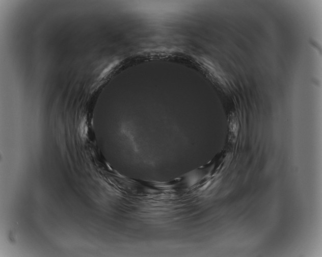 X0000096401252200801311343