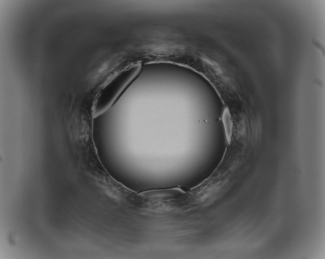 X0000096401253200801311343