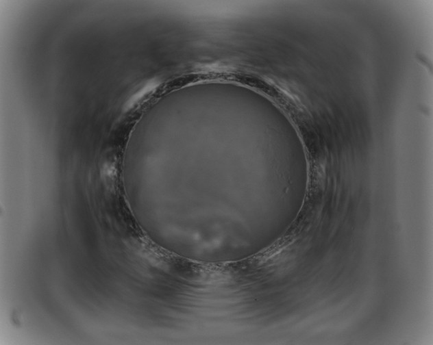 X0000096401254200801311343